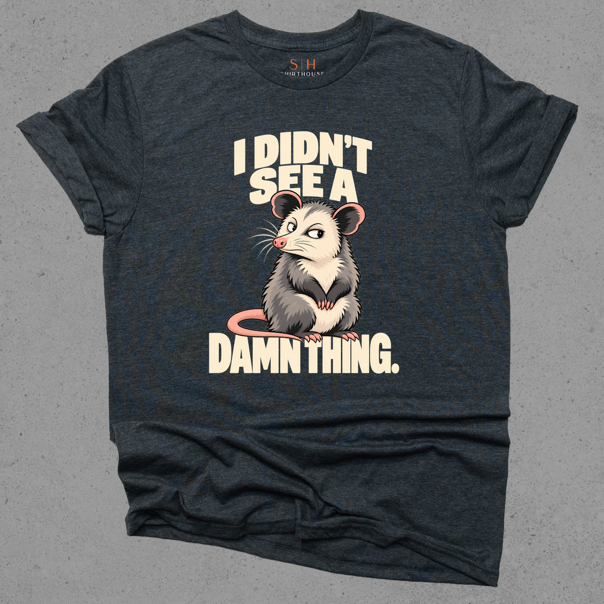 I Didn't See A Damn Thing