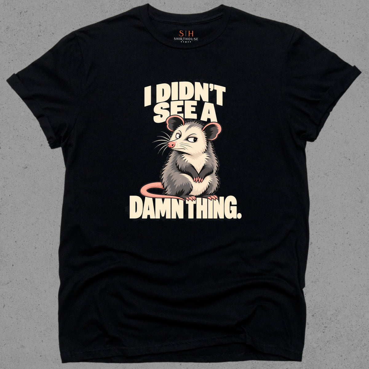 I Didn't See A Damn Thing