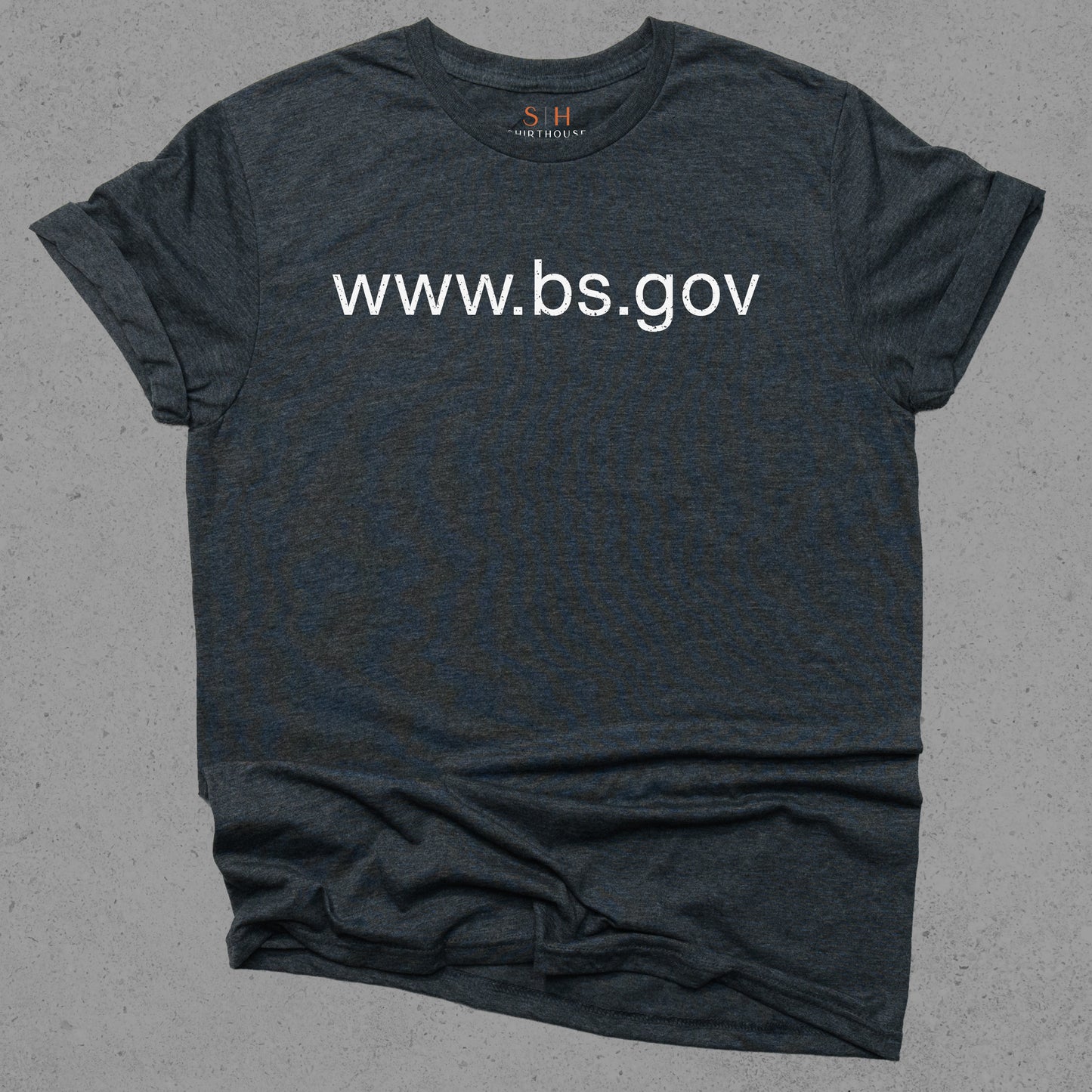 www bs gov