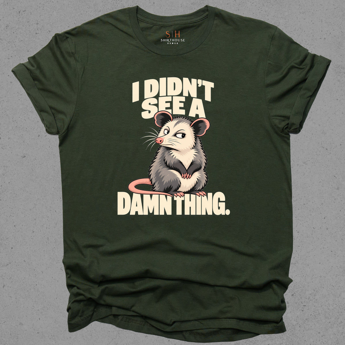 I Didn't See A Damn Thing