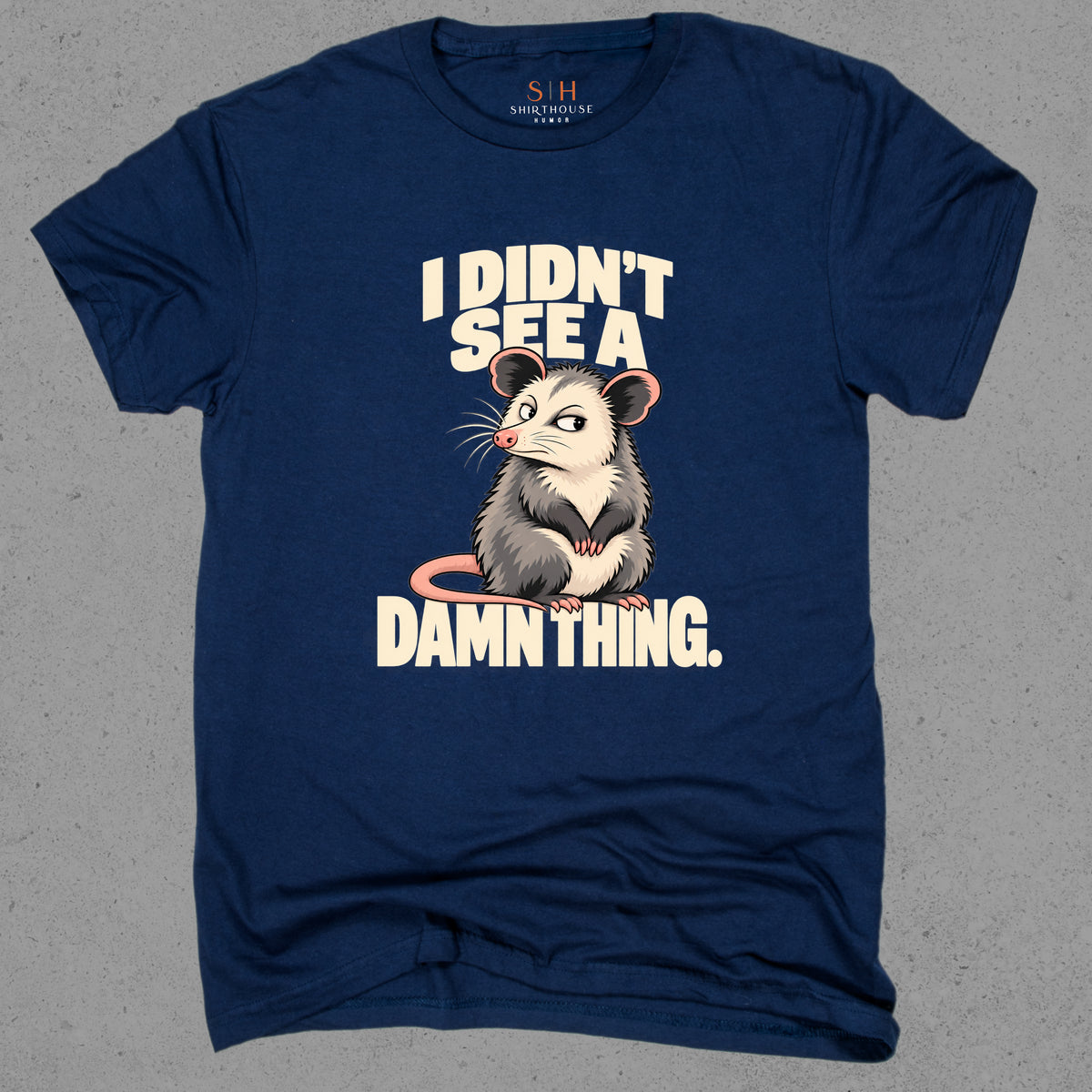 I Didn't See A Damn Thing
