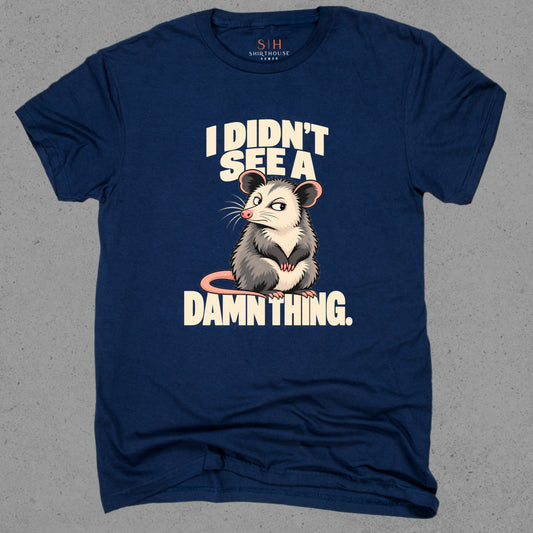 I Didn't See A Damn Thing